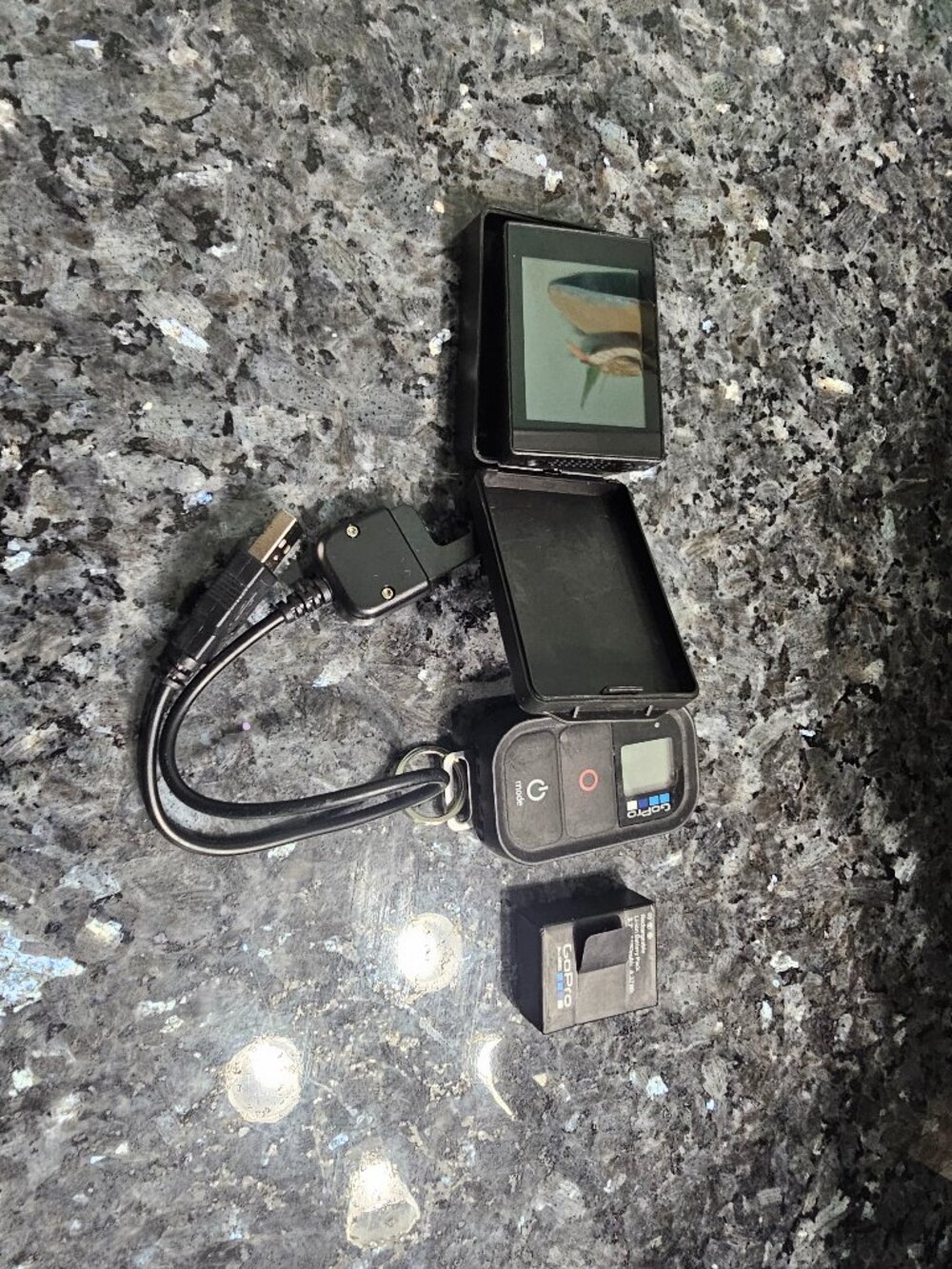 GoPro Accessories